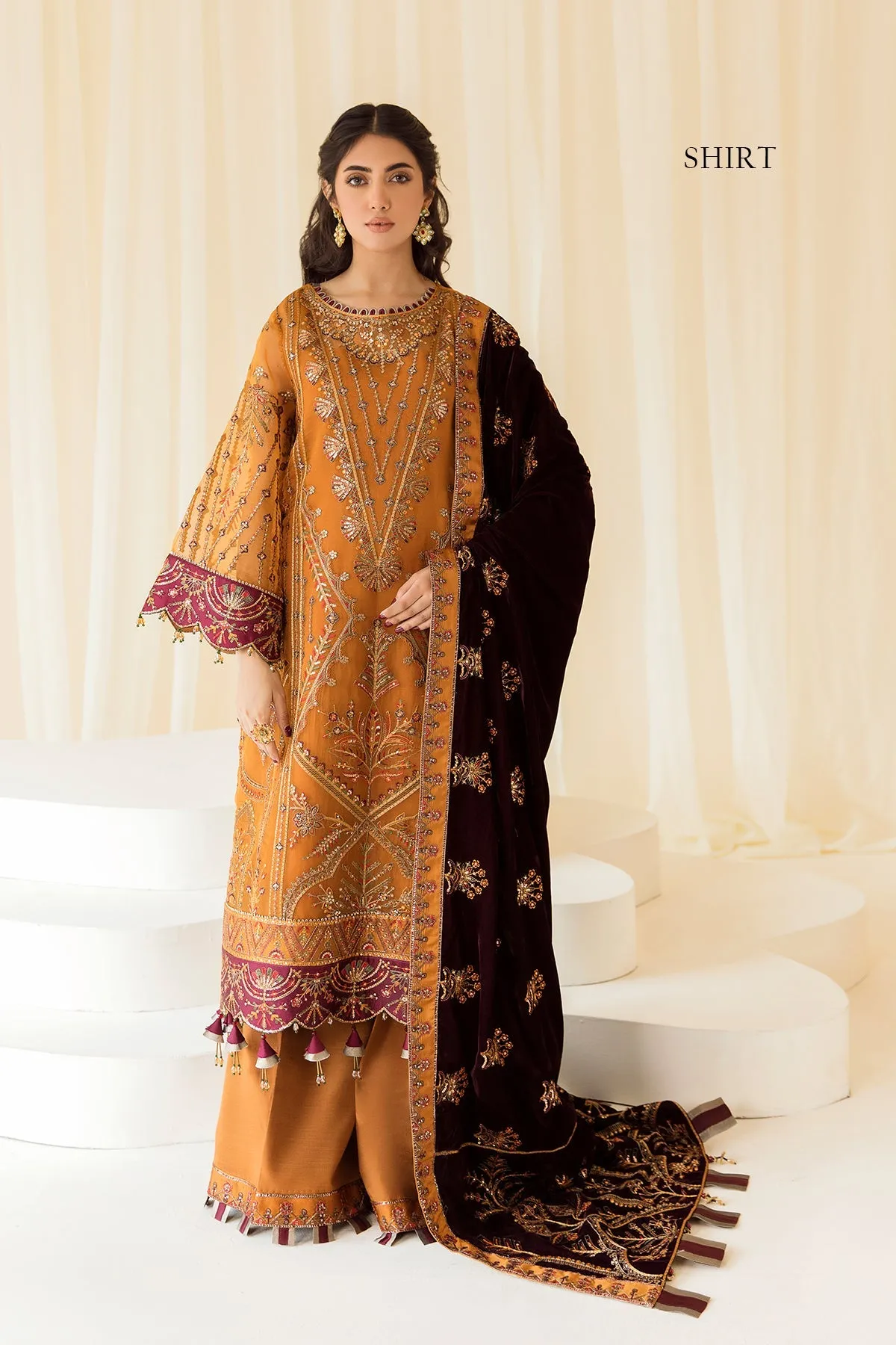 Alizeh Premium Velvet Edit – Zar Begum