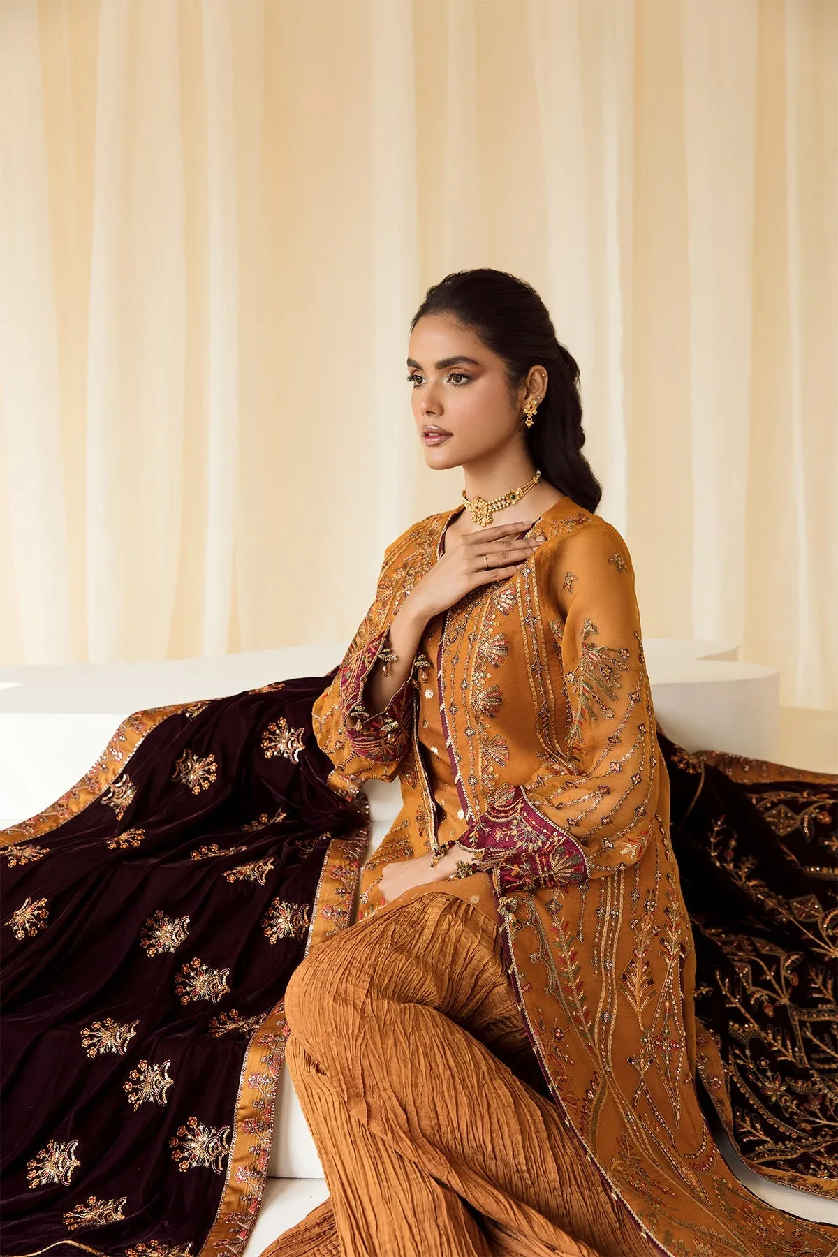 Alizeh Premium Velvet Edit – Zar Begum