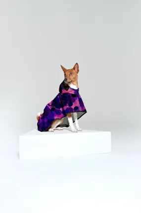 City Lights Dog Poncho Purple