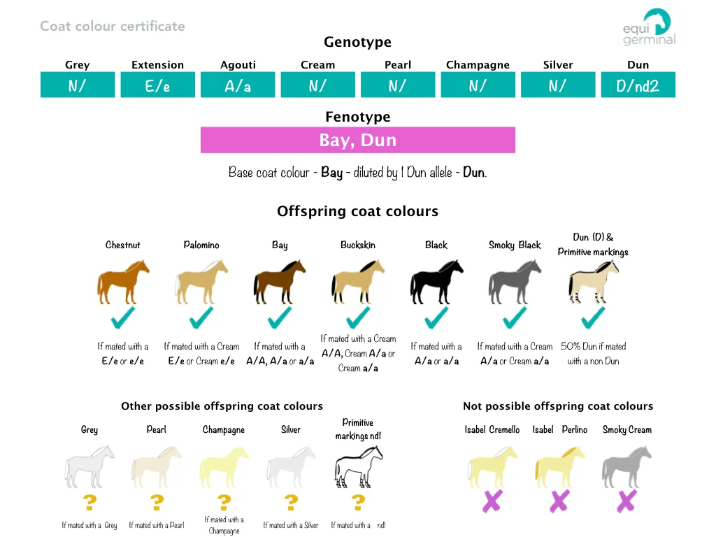 Coat colour profile