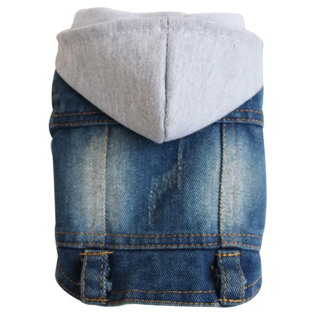 Cool Denim Coat